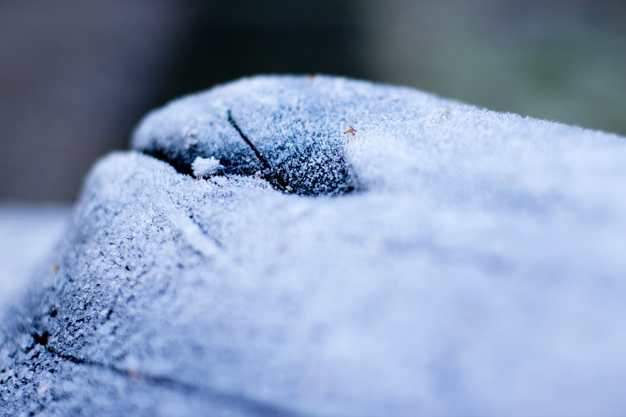 Icy Wood