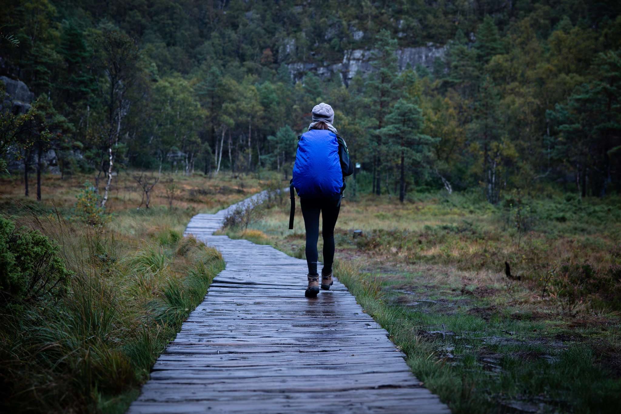 Preikestolen Hike