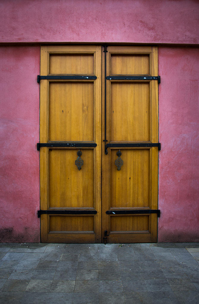 Wooden Door